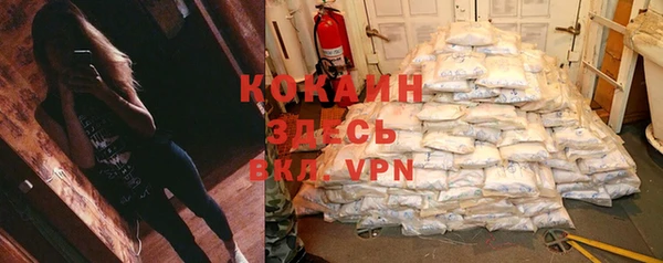 бошки Абаза